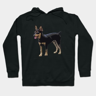 pinscher doberman Hoodie